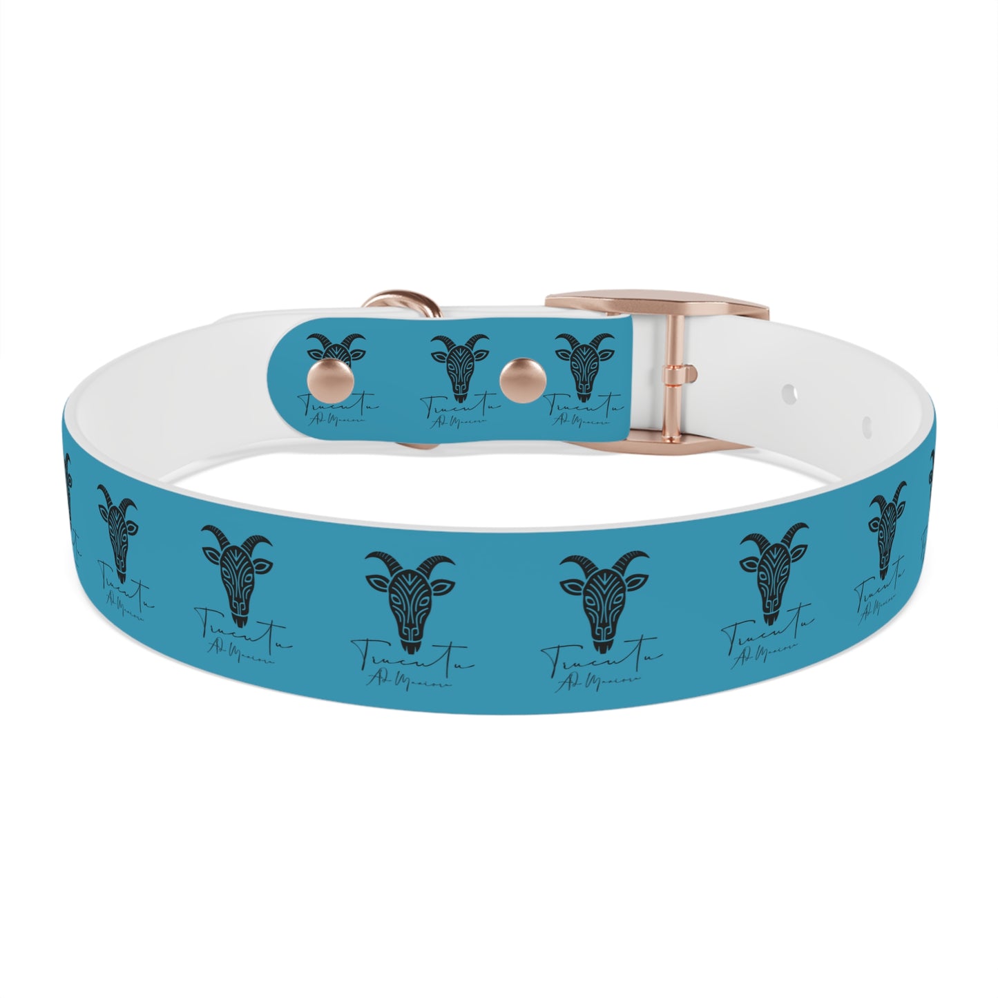 Collare Turchese per Cani con Design Unico TRUCUTU – Accessorio Personalizzato per Amanti degli Animali, Moda Canina e Idee Regalo Originali