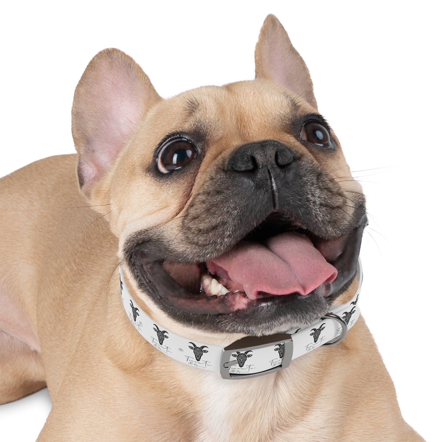 Collare Bianco per Cani con Logo Capra TRUCUTU – Accessorio Elegante e Regolabile, Idea Regalo per Amanti degli Animali, Perfetto per Eventi Speciali