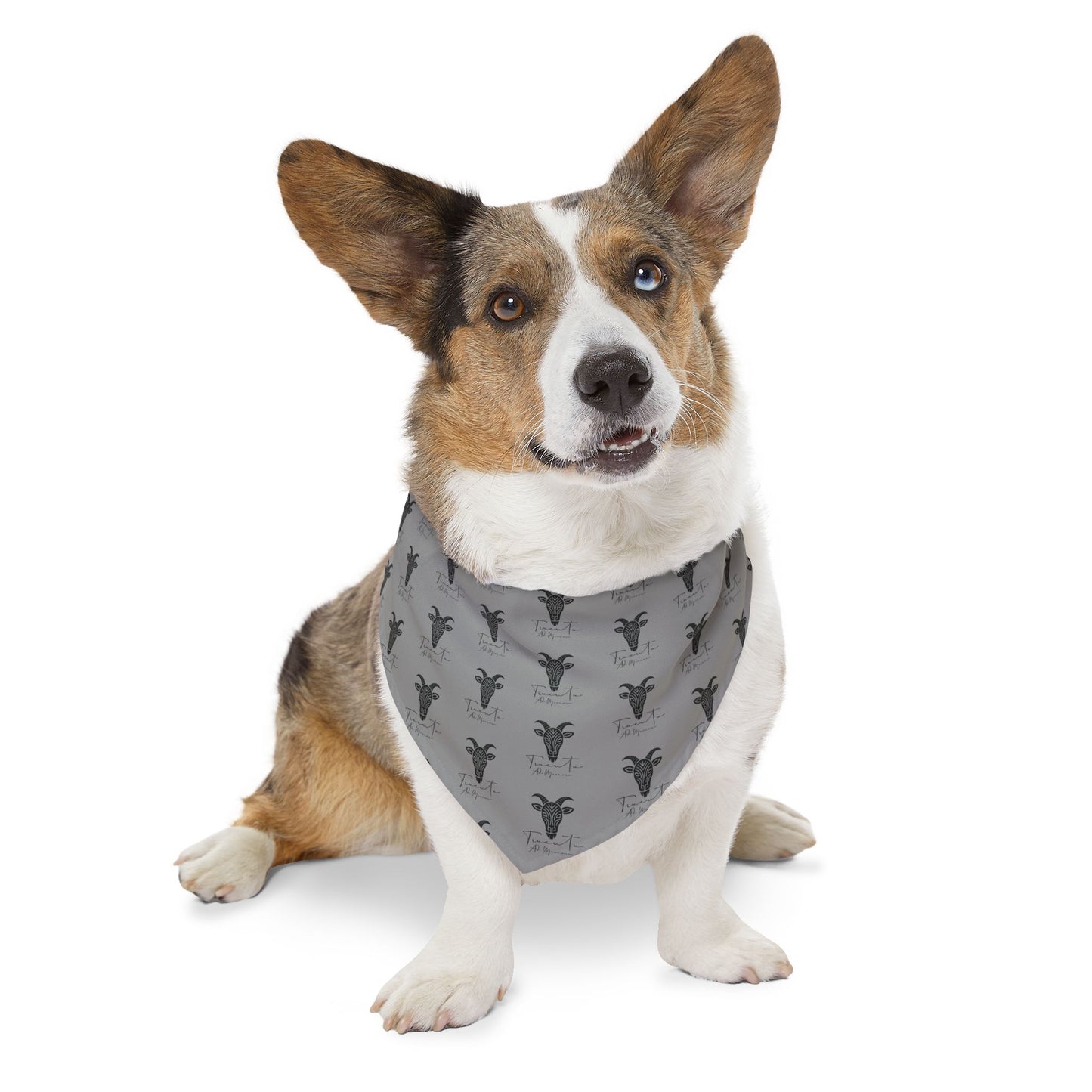 Bandana per Cani Regolabile TRUCUTU – Accessorio alla Moda per Animali, Outfit Trendy per Cuccioli e Cani Adulti