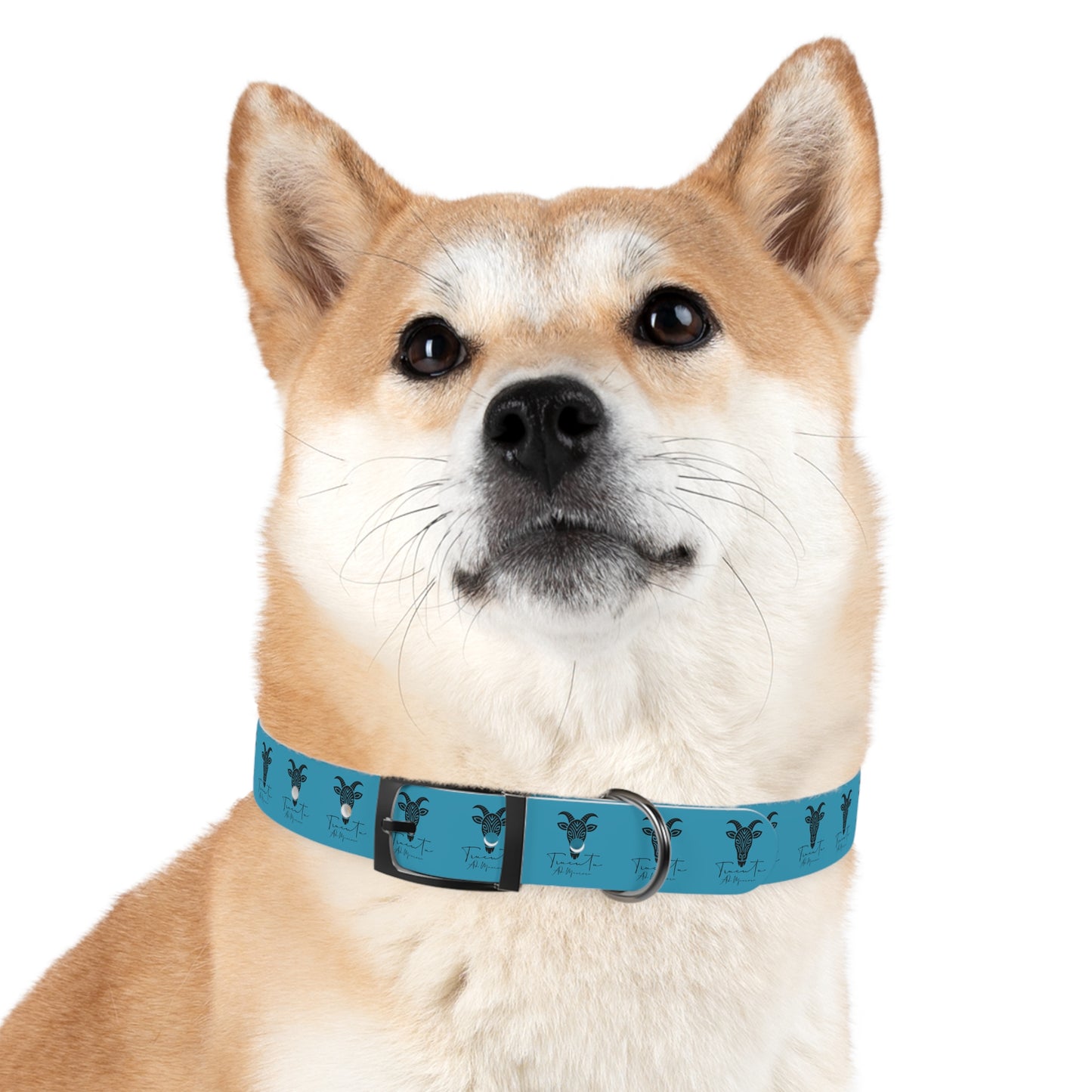 Collare Turchese per Cani con Design Unico TRUCUTU – Accessorio Personalizzato per Amanti degli Animali, Moda Canina e Idee Regalo Originali