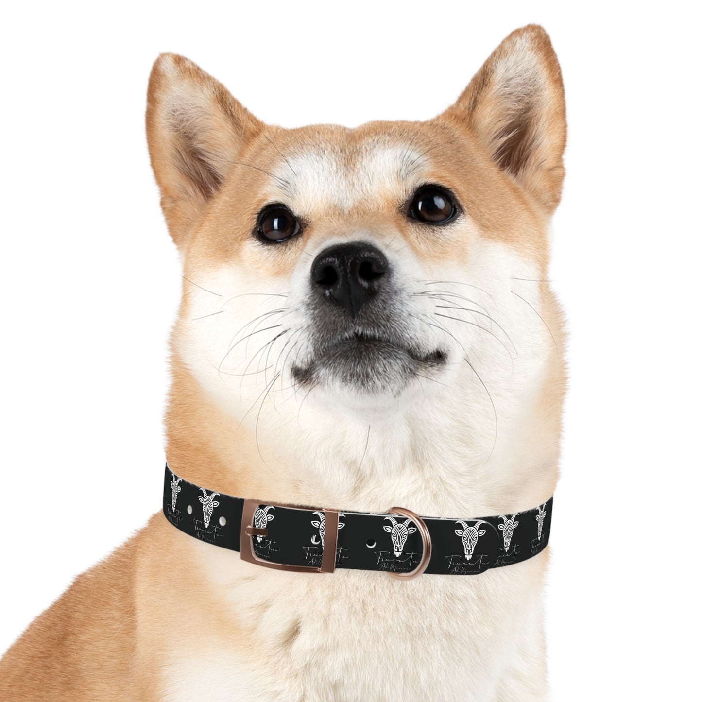 Collare Nero per Cani con Logo Capra TRUCUTU – Accessorio Regolabile di Tendenza, Idea Regalo per Amanti degli Animali, Perfetto per Festività e Occasioni Speciali