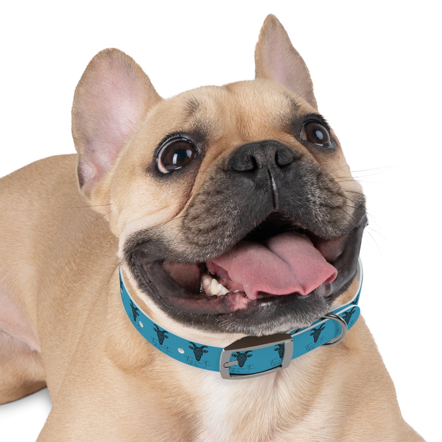 Collare Turchese per Cani con Design Unico TRUCUTU – Accessorio Personalizzato per Amanti degli Animali, Moda Canina e Idee Regalo Originali