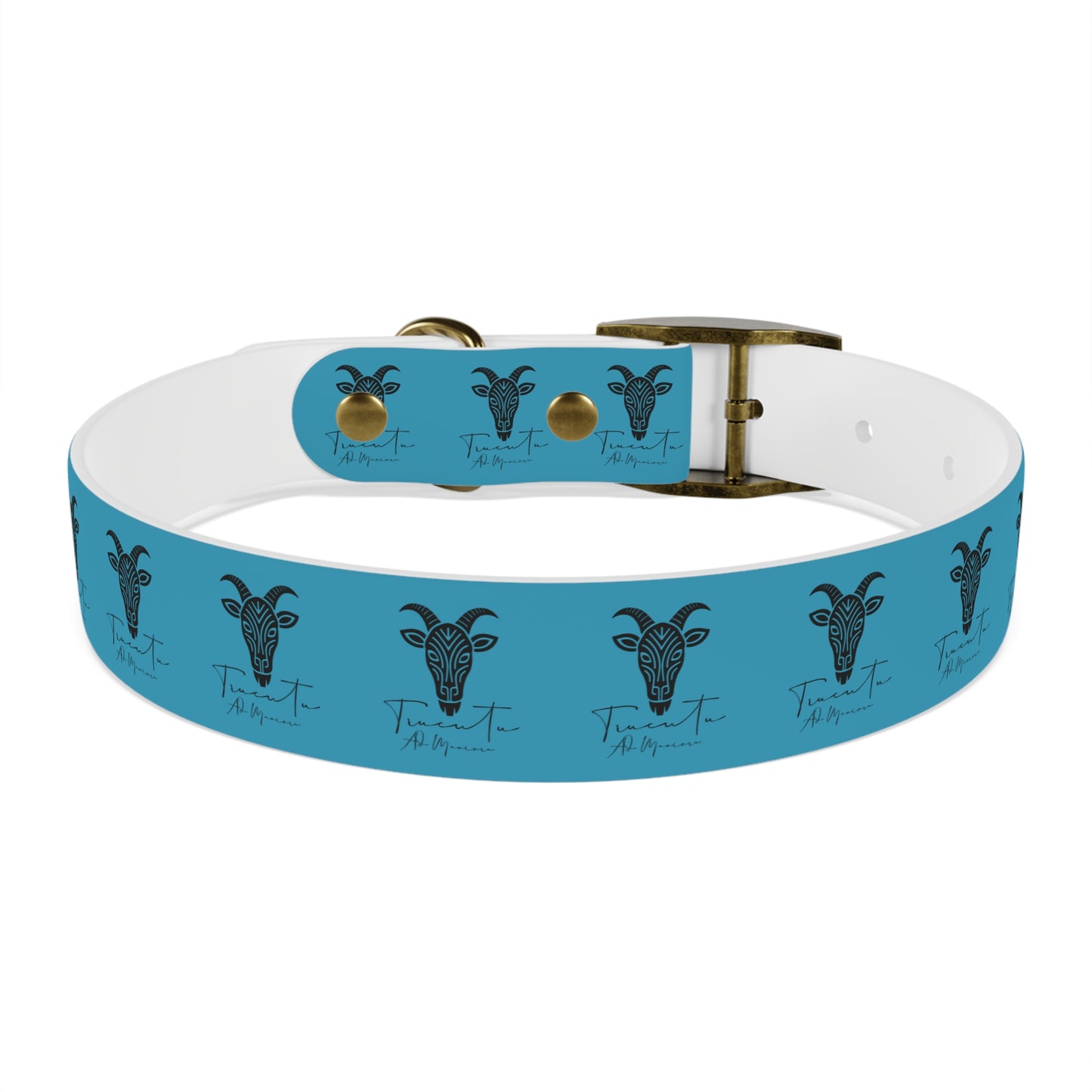 Collare Turchese per Cani con Design Unico TRUCUTU – Accessorio Personalizzato per Amanti degli Animali, Moda Canina e Idee Regalo Originali