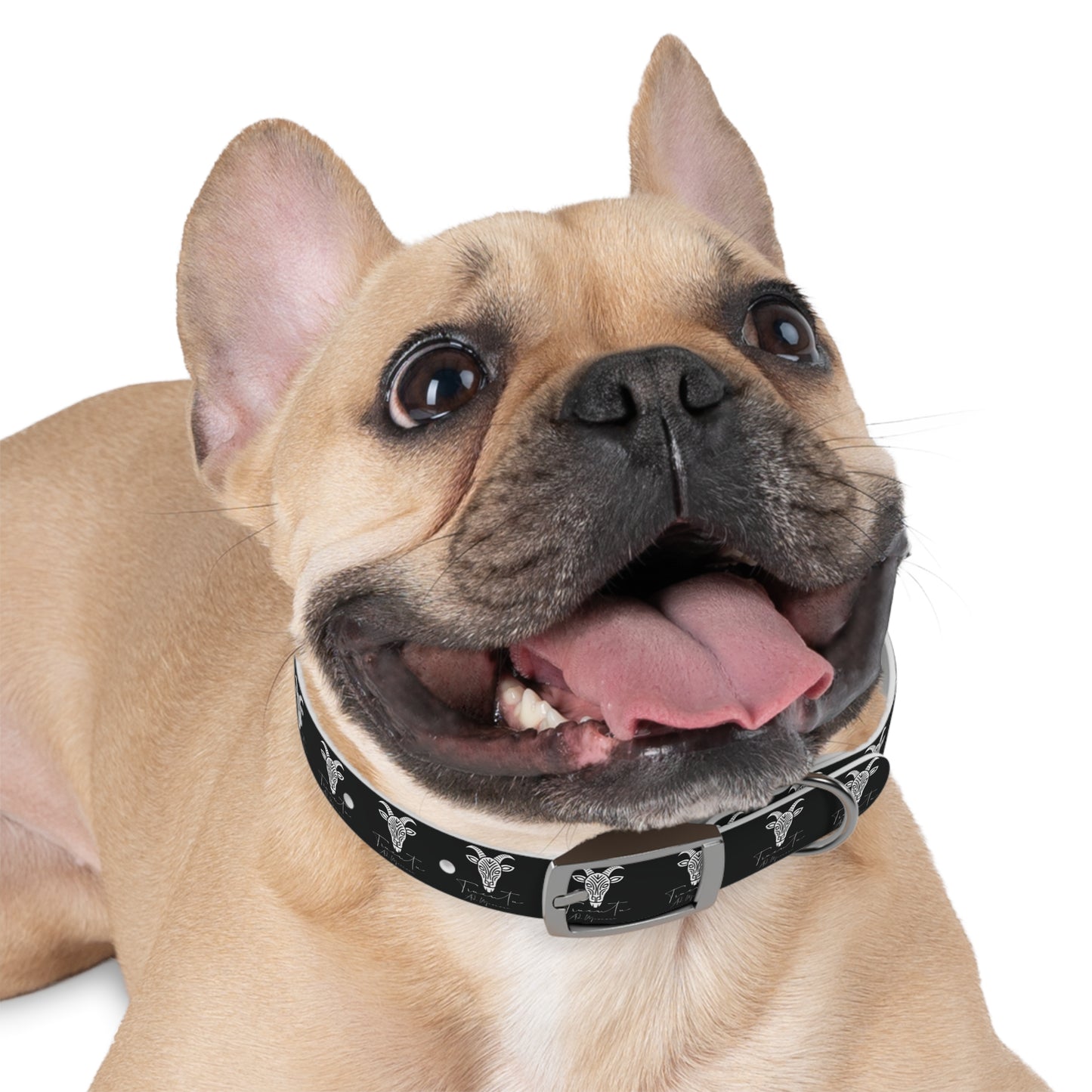 Collare Nero per Cani con Logo Capra TRUCUTU – Accessorio Regolabile di Tendenza, Idea Regalo per Amanti degli Animali, Perfetto per Festività e Occasioni Speciali