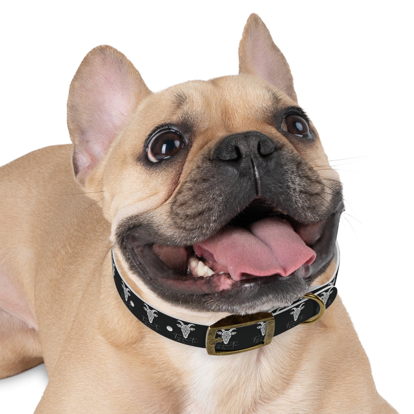 Collare Nero per Cani con Logo Capra TRUCUTU – Accessorio Regolabile di Tendenza, Idea Regalo per Amanti degli Animali, Perfetto per Festività e Occasioni Speciali