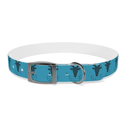 Collare Turchese per Cani con Design Unico TRUCUTU – Accessorio Personalizzato per Amanti degli Animali, Moda Canina e Idee Regalo Originali