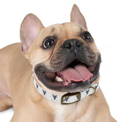 Collare Bianco per Cani con Logo Capra TRUCUTU – Accessorio Elegante e Regolabile, Idea Regalo per Amanti degli Animali, Perfetto per Eventi Speciali