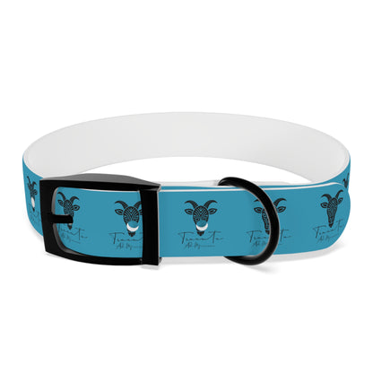 Collare Turchese per Cani con Design Unico TRUCUTU – Accessorio Personalizzato per Amanti degli Animali, Moda Canina e Idee Regalo Originali