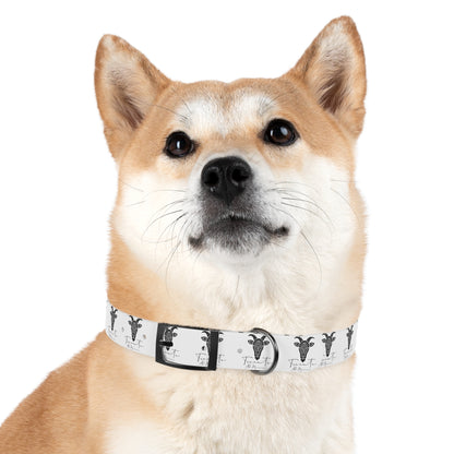 Collare Bianco per Cani con Logo Capra TRUCUTU – Accessorio Elegante e Regolabile, Idea Regalo per Amanti degli Animali, Perfetto per Eventi Speciali