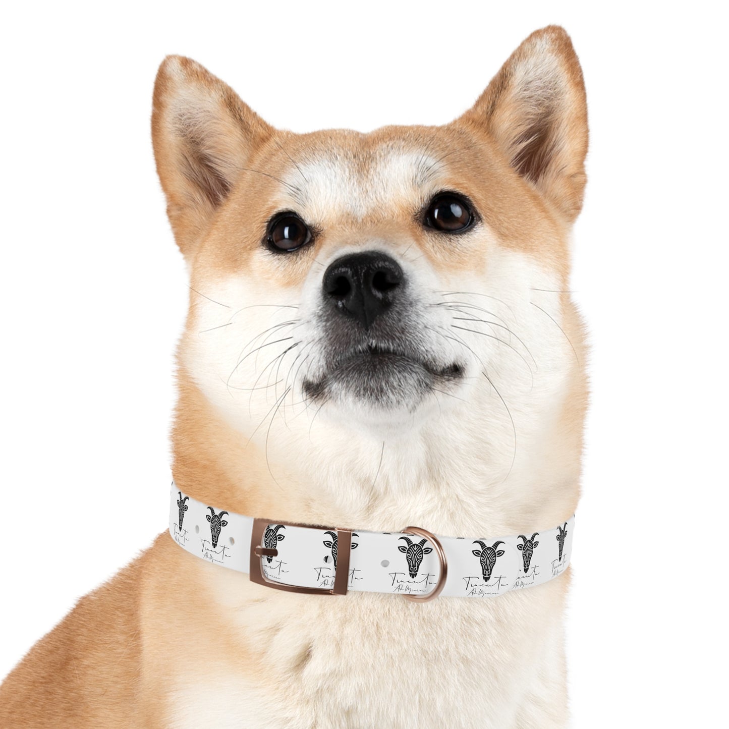 Collare Bianco per Cani con Logo Capra TRUCUTU – Accessorio Elegante e Regolabile, Idea Regalo per Amanti degli Animali, Perfetto per Eventi Speciali