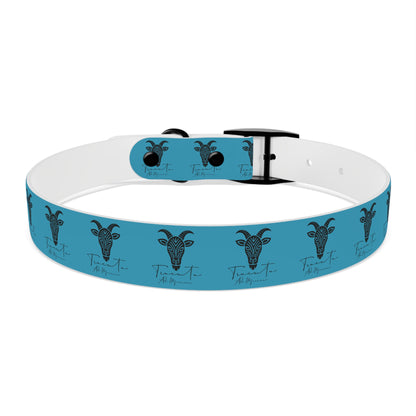 Collare Turchese per Cani con Design Unico TRUCUTU – Accessorio Personalizzato per Amanti degli Animali, Moda Canina e Idee Regalo Originali