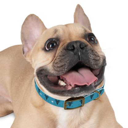 Collare Turchese per Cani con Design Unico TRUCUTU – Accessorio Personalizzato per Amanti degli Animali, Moda Canina e Idee Regalo Originali