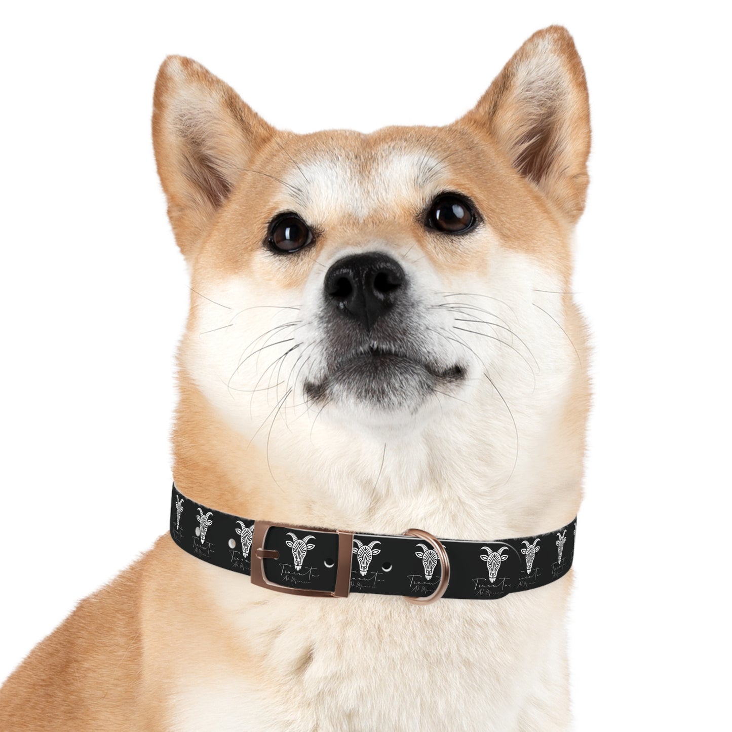 Collare Nero per Cani con Logo Capra TRUCUTU – Accessorio Regolabile di Tendenza, Idea Regalo per Amanti degli Animali, Perfetto per Festività e Occasioni Speciali