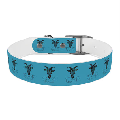 Collare Turchese per Cani con Design Unico TRUCUTU – Accessorio Personalizzato per Amanti degli Animali, Moda Canina e Idee Regalo Originali