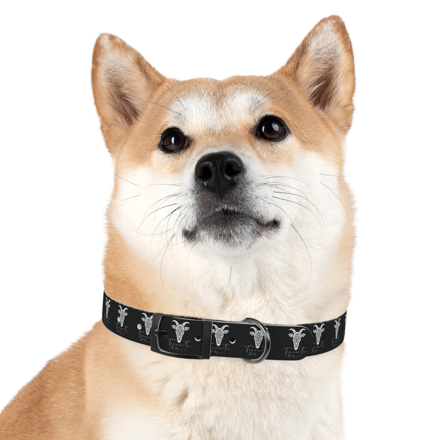 Collare Nero per Cani con Logo Capra TRUCUTU – Accessorio Regolabile di Tendenza, Idea Regalo per Amanti degli Animali, Perfetto per Festività e Occasioni Speciali