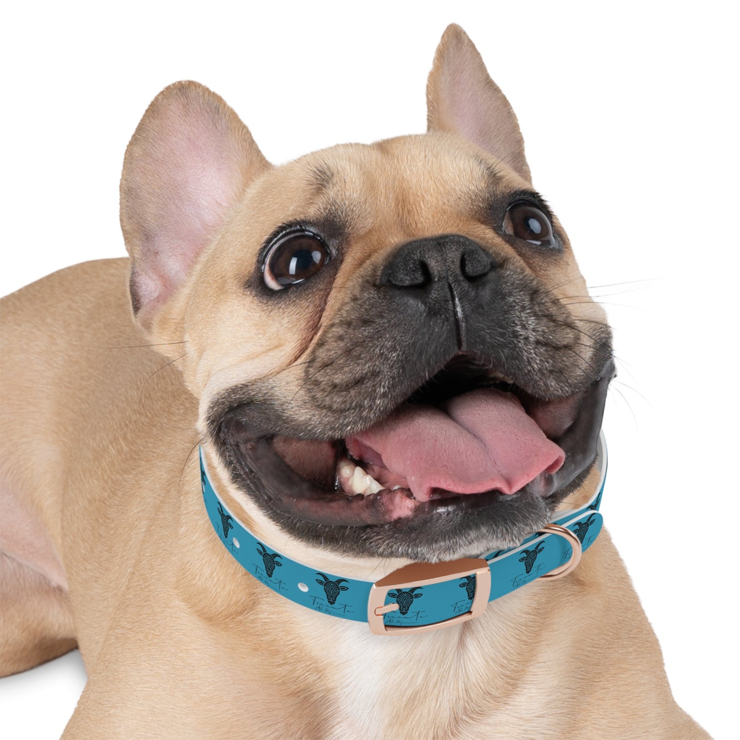 Collare Turchese per Cani con Design Unico TRUCUTU – Accessorio Personalizzato per Amanti degli Animali, Moda Canina e Idee Regalo Originali