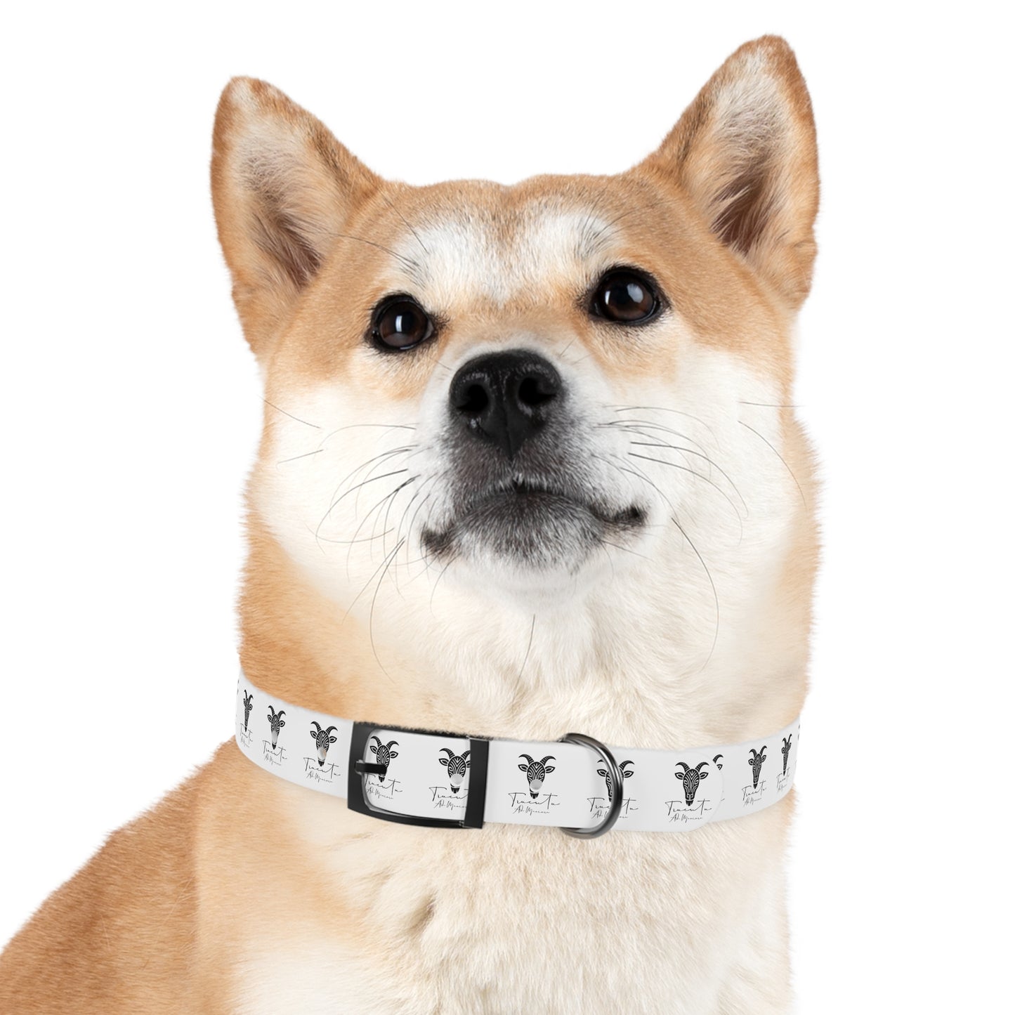 Collare Bianco per Cani con Logo Capra TRUCUTU – Accessorio Elegante e Regolabile, Idea Regalo per Amanti degli Animali, Perfetto per Eventi Speciali