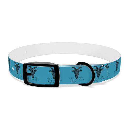 Collare Turchese per Cani con Design Unico TRUCUTU – Accessorio Personalizzato per Amanti degli Animali, Moda Canina e Idee Regalo Originali