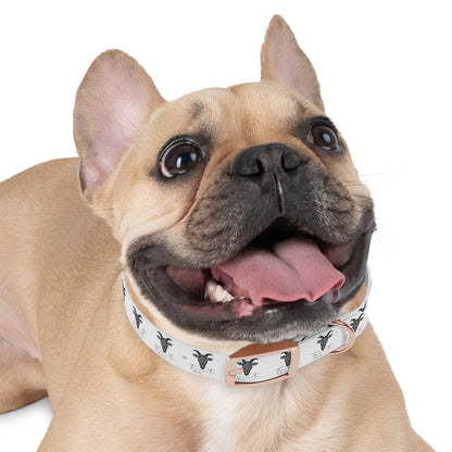 Collare Bianco per Cani con Logo Capra TRUCUTU – Accessorio Elegante e Regolabile, Idea Regalo per Amanti degli Animali, Perfetto per Eventi Speciali