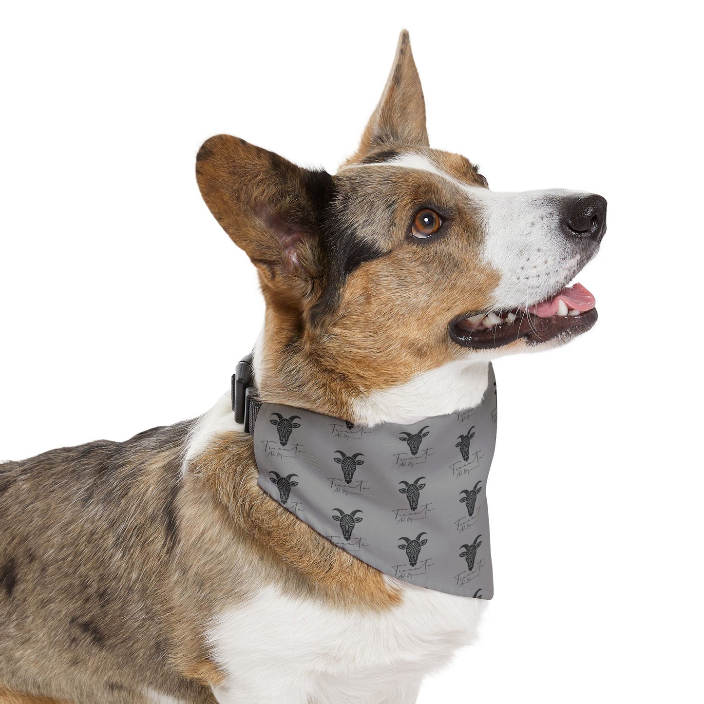 Bandana per Cani Regolabile TRUCUTU – Accessorio alla Moda per Animali, Outfit Trendy per Cuccioli e Cani Adulti