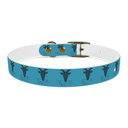 Collare Turchese per Cani con Design Unico TRUCUTU – Accessorio Personalizzato per Amanti degli Animali, Moda Canina e Idee Regalo Originali