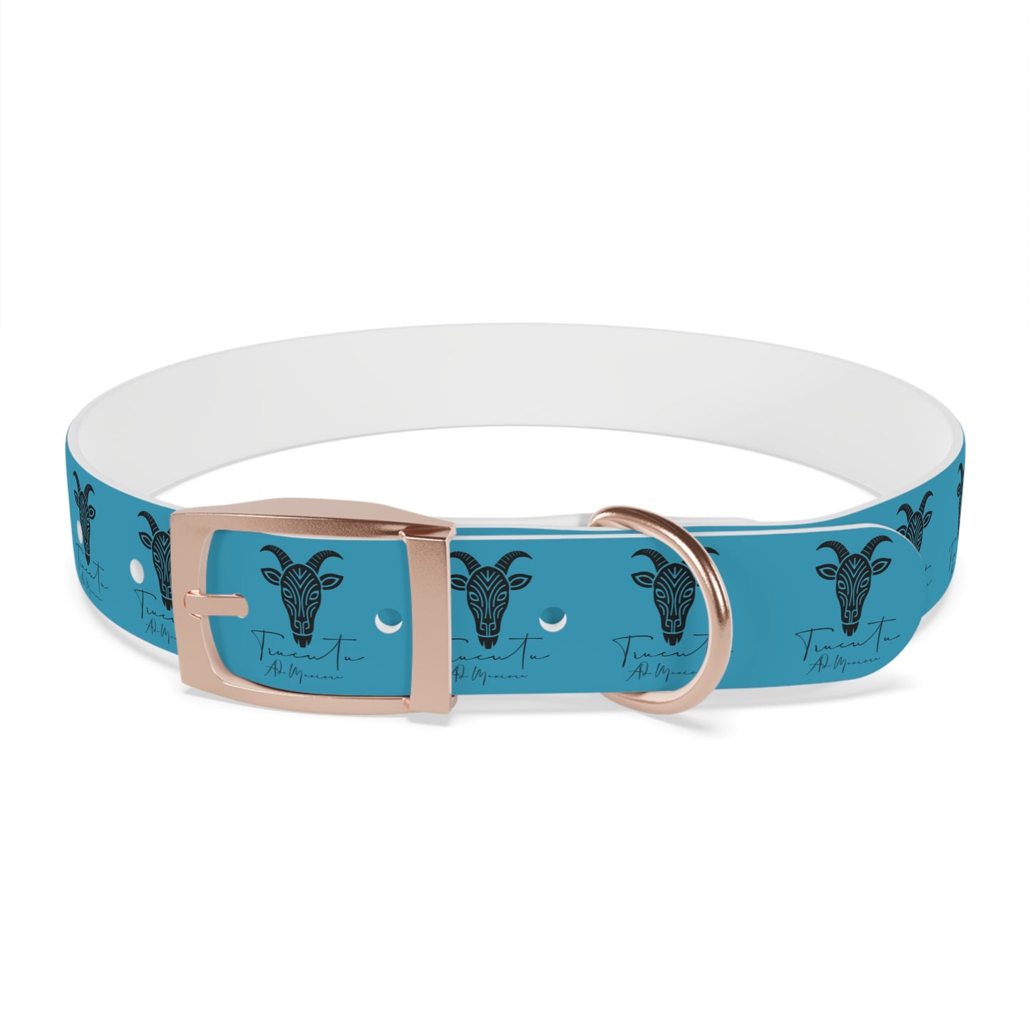 Collare Turchese per Cani con Design Unico TRUCUTU – Accessorio Personalizzato per Amanti degli Animali, Moda Canina e Idee Regalo Originali