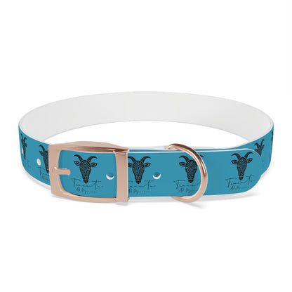 Collare Turchese per Cani con Design Unico TRUCUTU – Accessorio Personalizzato per Amanti degli Animali, Moda Canina e Idee Regalo Originali