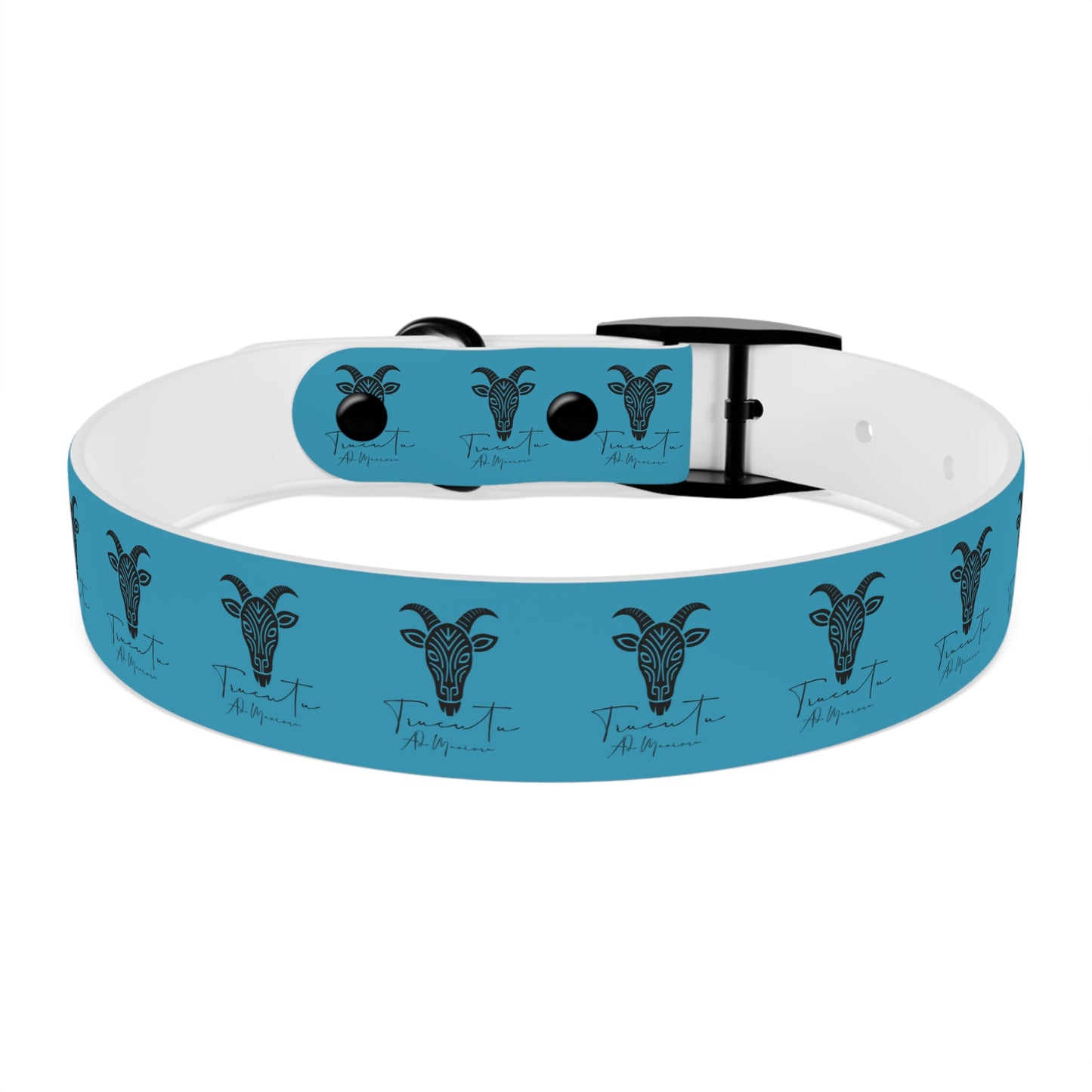 Collare Turchese per Cani con Design Unico TRUCUTU – Accessorio Personalizzato per Amanti degli Animali, Moda Canina e Idee Regalo Originali
