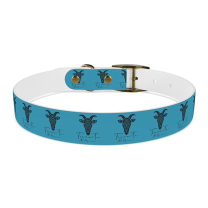 Collare Turchese per Cani con Design Unico TRUCUTU – Accessorio Personalizzato per Amanti degli Animali, Moda Canina e Idee Regalo Originali