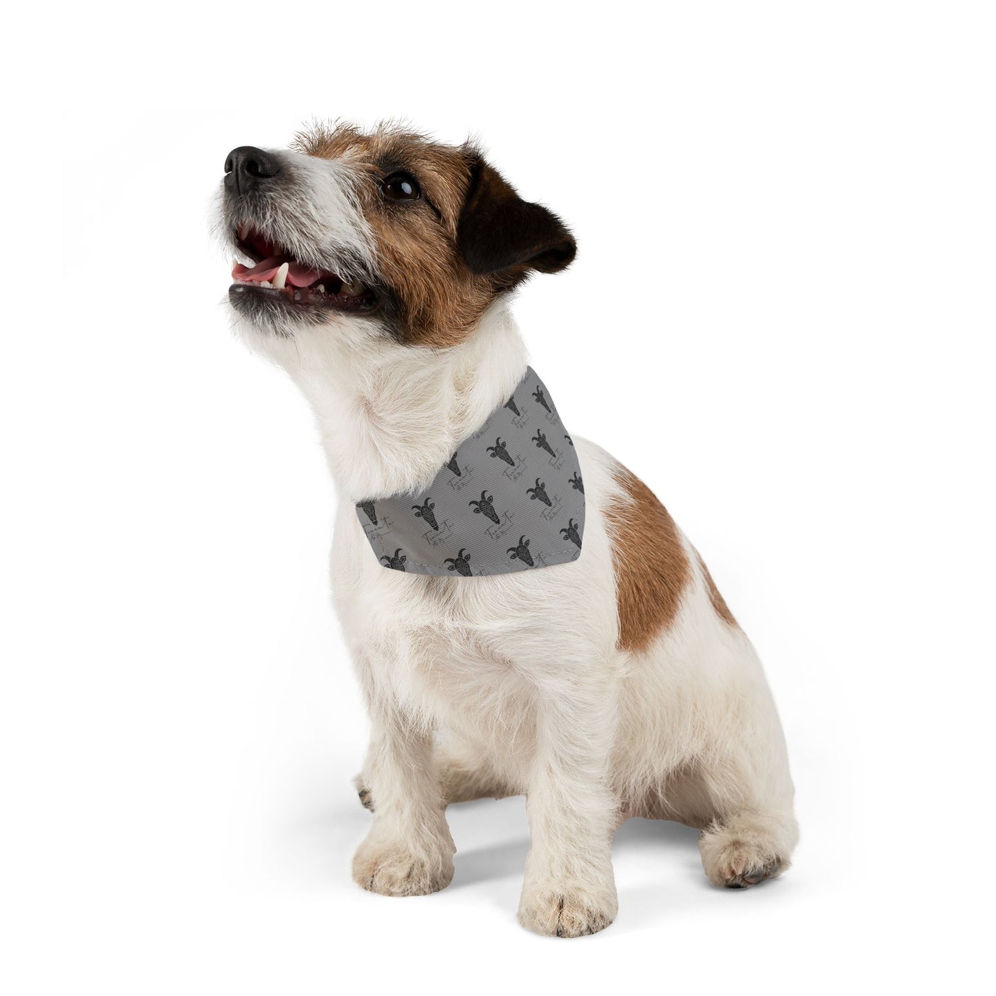 Bandana per Cani Regolabile TRUCUTU – Accessorio alla Moda per Animali, Outfit Trendy per Cuccioli e Cani Adulti