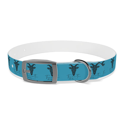 Collare Turchese per Cani con Design Unico TRUCUTU – Accessorio Personalizzato per Amanti degli Animali, Moda Canina e Idee Regalo Originali