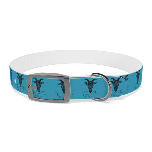 Collare Turchese per Cani con Design Unico TRUCUTU – Accessorio Personalizzato per Amanti degli Animali, Moda Canina e Idee Regalo Originali