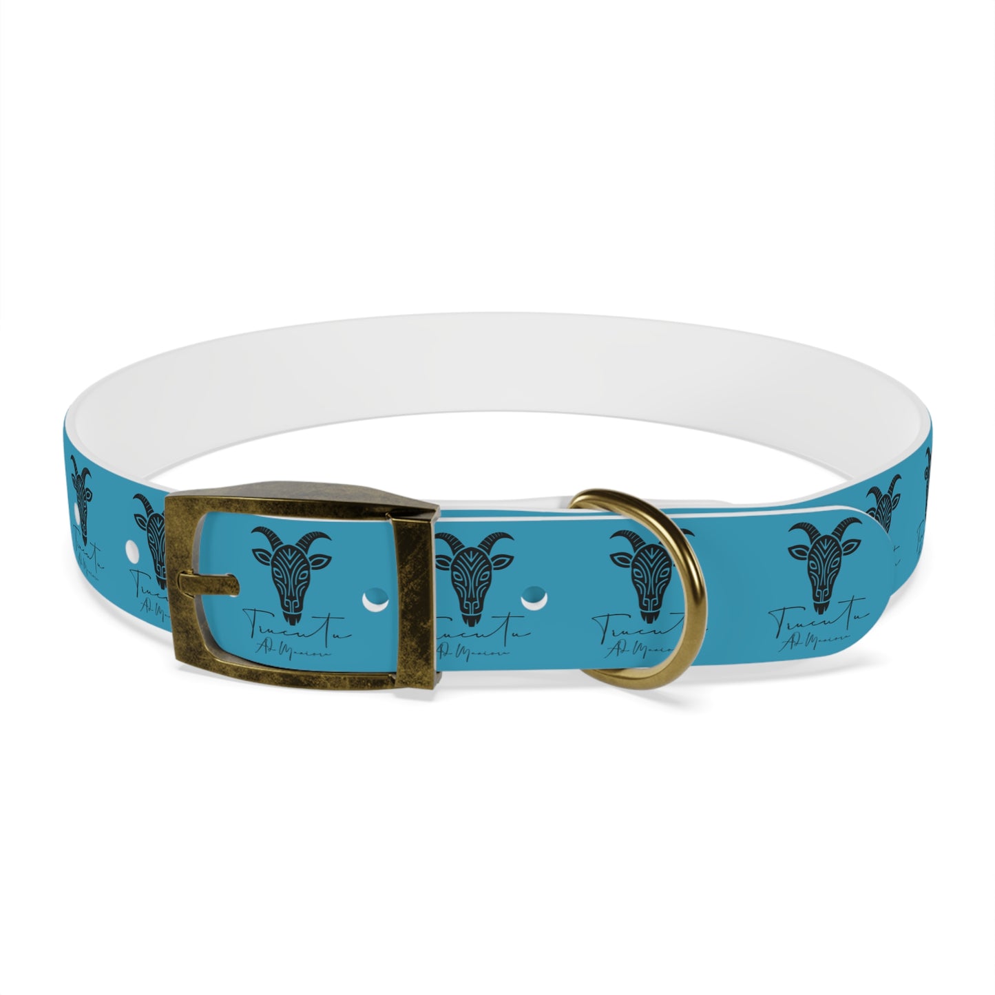 Collare Turchese per Cani con Design Unico TRUCUTU – Accessorio Personalizzato per Amanti degli Animali, Moda Canina e Idee Regalo Originali