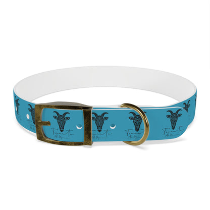 Collare Turchese per Cani con Design Unico TRUCUTU – Accessorio Personalizzato per Amanti degli Animali, Moda Canina e Idee Regalo Originali