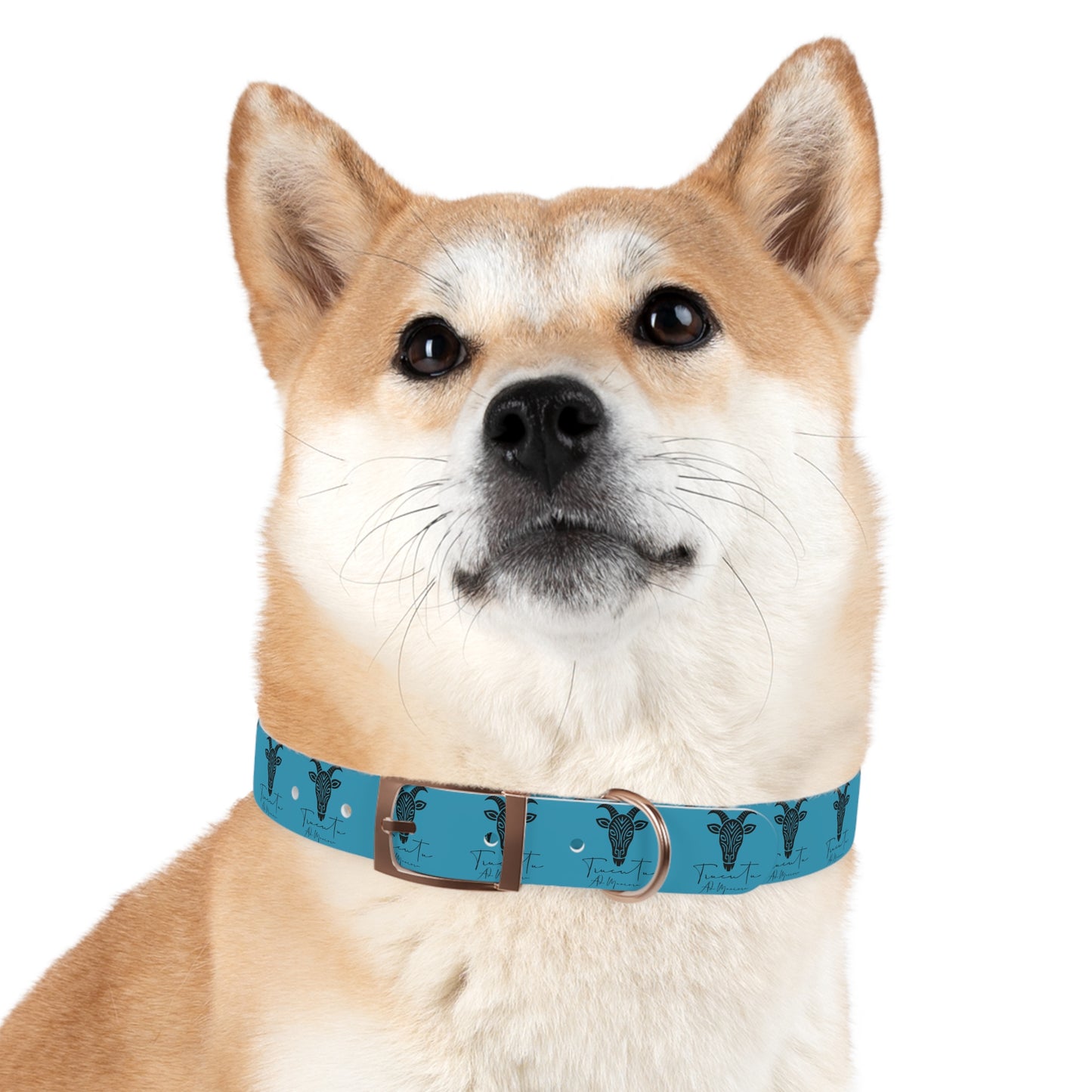 Collare Turchese per Cani con Design Unico TRUCUTU – Accessorio Personalizzato per Amanti degli Animali, Moda Canina e Idee Regalo Originali