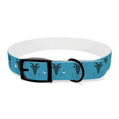 Collare Turchese per Cani con Design Unico TRUCUTU – Accessorio Personalizzato per Amanti degli Animali, Moda Canina e Idee Regalo Originali